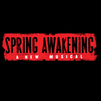 To find out more about SPRING AWAKENING, click on the picture. 